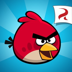 Running Ninja